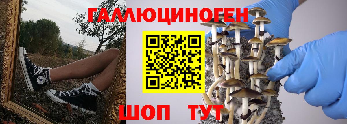 Галлюциногенные грибы GOLDEN TEACHER Железноводск